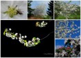 /album/bildgalleri-natur/nature-9-med-korsbar-jpg/